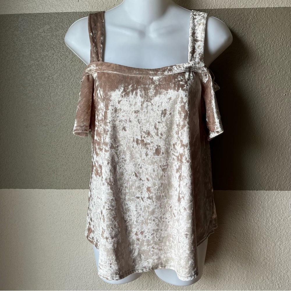 Acemi Women’s Small Velour Crushed Velvet Off Shoulder Blouse Beige Top
